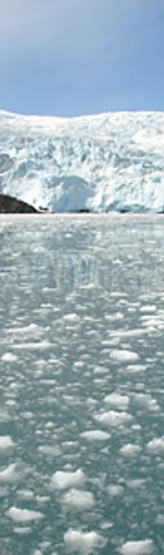 Kenai Fjords-Nationalpark – Holgate Glacier